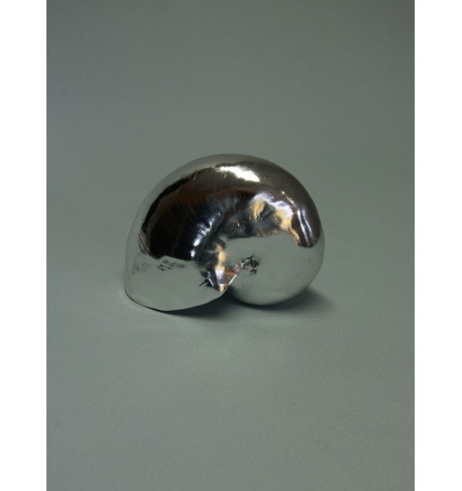 CARACOL PRATEADO 271.327