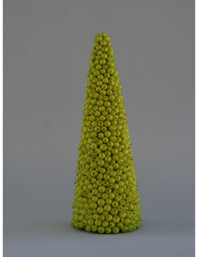 ARVORE PINHA PEQUENA VERDE