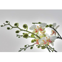 01.608 POSTER P/PAREDE ORCHIDEE 184*127 CM