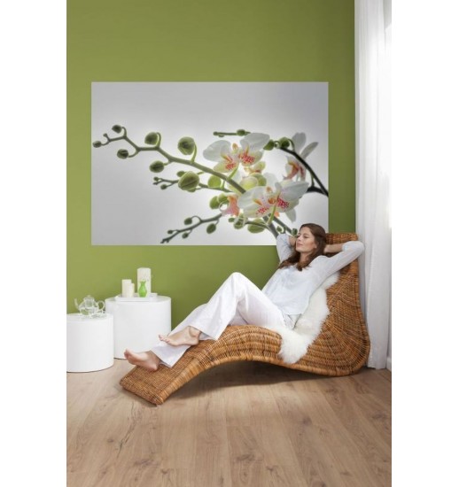 01.608 POSTER P/PAREDE ORCHIDEE 184*127 CM