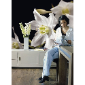 04.259 POSTER P/PAREDE MADONNA 254*184 CM