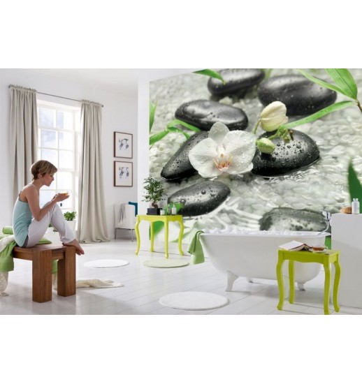 08.319 POSTER P/PAREDE PURA 368*254 CM