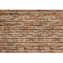 08.741 POSTER P/PAREDE BACKSTEIN 368*254 CM