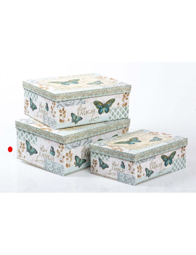 CAIXA BORBOLETAS RETANGULAR GRANDE 42*25 - GP656001