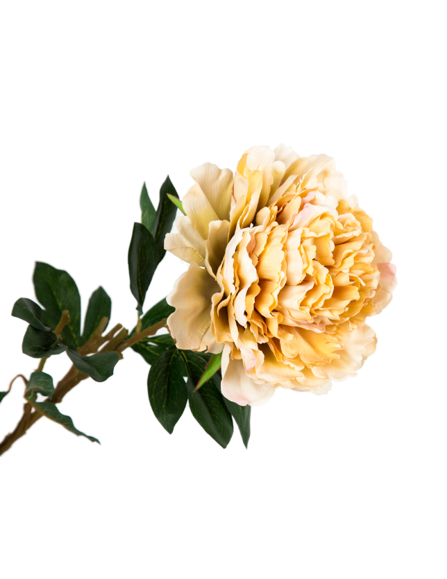 FLOR PEONIA CREME - 918464