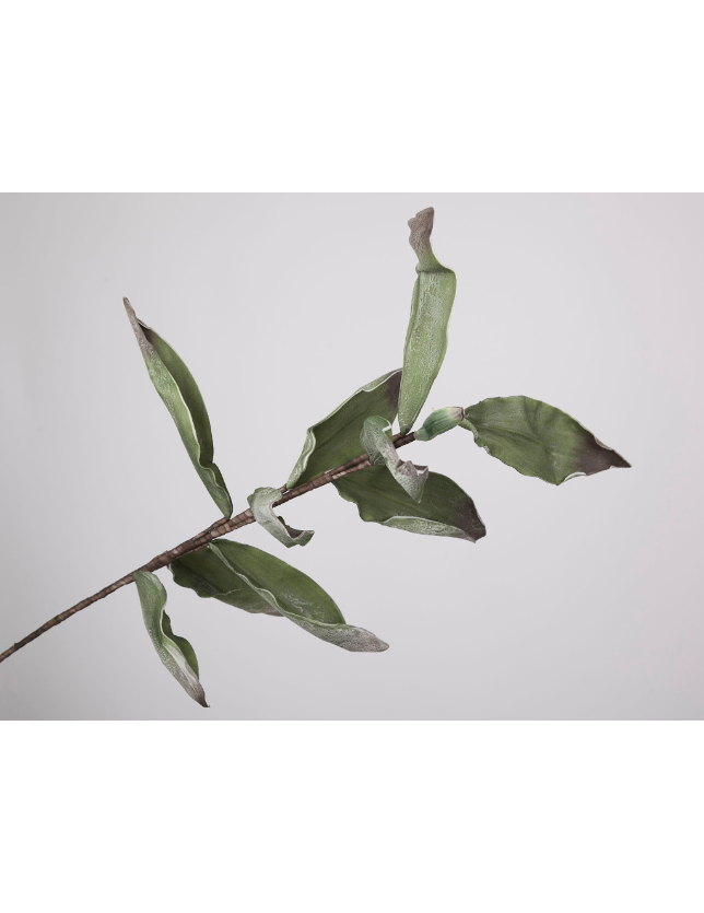 FLOR RAMA FOLHAS LARGAS VERDE - 9767