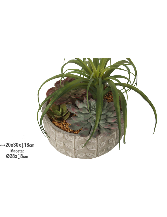 PLANTA COM MACETA CERAMICA - 29967