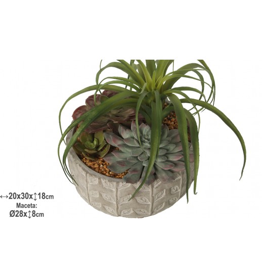 PLANTA COM MACETA CERAMICA - 29967