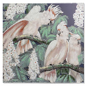 QUADRO TECIDO TELA 100*3*100 CACATOEIRO 2 MOD - CU-158891