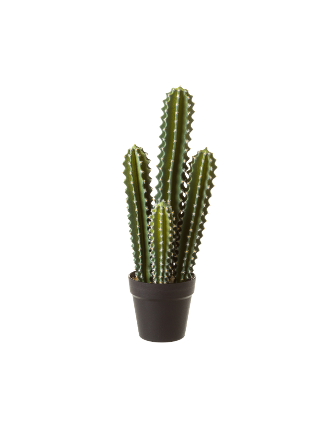 CATO ARTIFICIAL EM VASO 13.5*13.5*52 - 125614