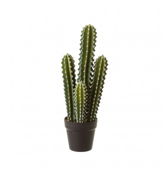 CATO ARTIFICIAL EM VASO 13.5*13.5*52 - 125614