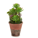 PLANTA ARTIFICIAL VASO ENVELHECIDO MEDIO SORTIDOS - 22218