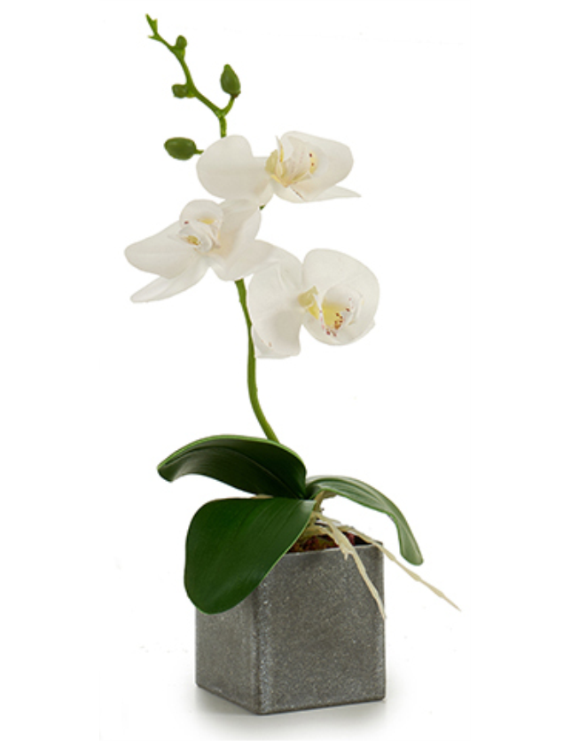 ORQUIDIA VASO QUADRADO CINZA PEQUENO CORES SORTIDAS - 55281