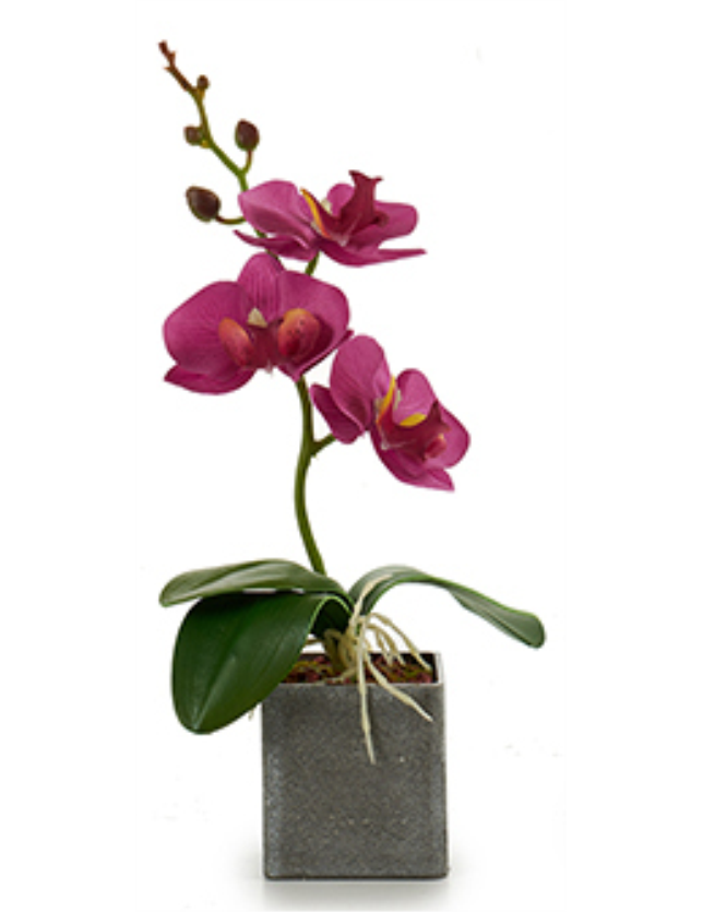 ORQUIDIA VASO QUADRADO CINZA PEQUENO CORES SORTIDAS - 55281 2