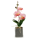 ORQUIDIA VASO QUADRADO CINZA PEQUENO CORES SORTIDAS - 55281