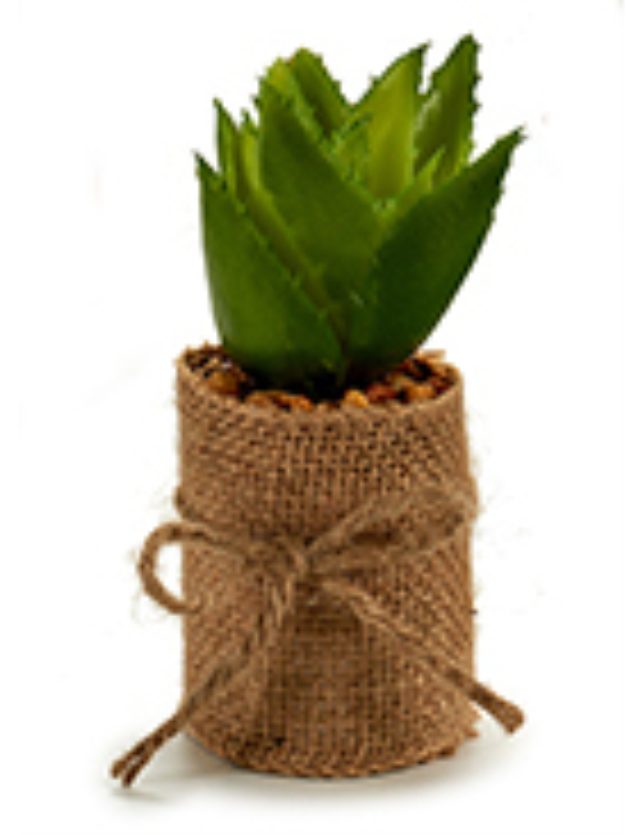 VASO C/ PLANTA SACO C/ LAÇO CORES SORTIDAS - 57545 2