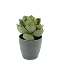 PLANTA ALOE ARTIFICIAL VASO QUADRADO SORTIDO - 55754