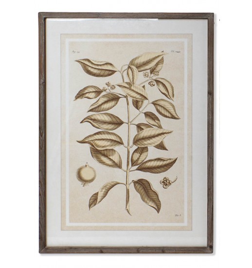 QUADRO MADEIRA VIDRO 70*4*100 L MINA 2 MOD - CU-164882