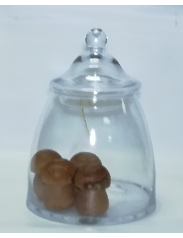 FRASCO VIDRO C/ TAMPA JANINE H28 D23 - 05449