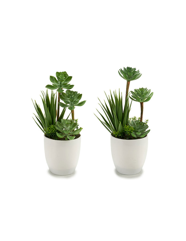 VASO BAIXO C/PLANTA  (MODELOS SORTIDOS) - 22219