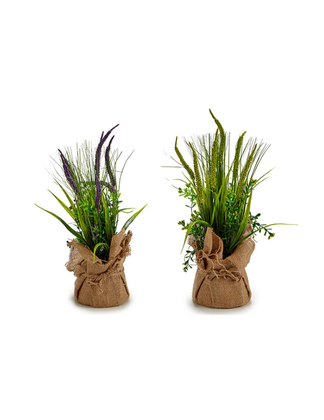 PLANTA JUNCOS E RAMOS VASO SACO (SORTIDO) - 57141