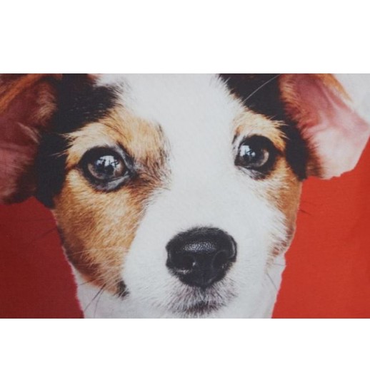 ALMOFADA DECORATIVA POLIESTER 45*11*45 350GR CAOZINHO 2 MOD - CJ-177770