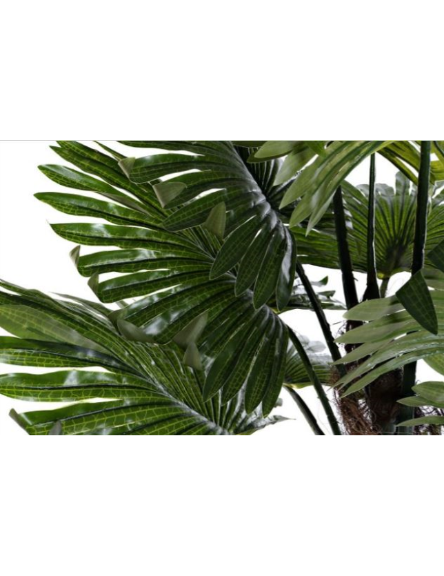PLANTA PVC PALMEIRA VERDE EM VASO 80*70*100 - JA-178782 2