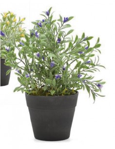 VASO REDONTO C/ PLANTA...
