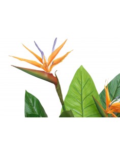 PLANTA PVC PALMEIRA VERDE... 2