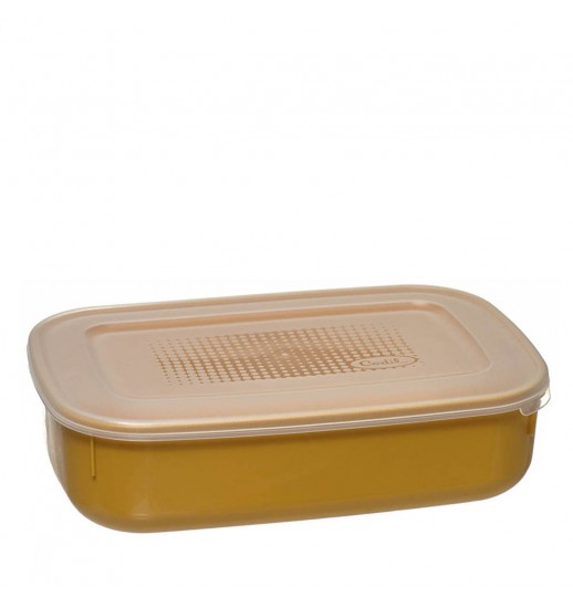 CAIXA HERMETICA BAYONNE GM AMARELO...