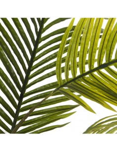 PLANTA ARTIFICIAL PALMEIRA... 2