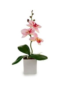 ORQUIDIA ROSA PALIDO VASO...