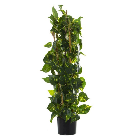 PLANTA ARTIFICIAL PU POTO 100CM - 26614