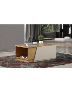 MESA DE CENTRO RIKY 100*40*60