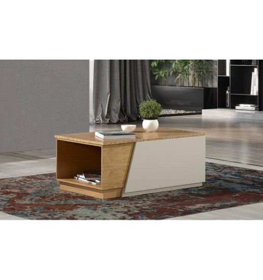 MESA DE CENTRO RIKY 100*40*60