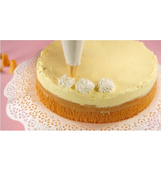 CONJ. 10 SACOS DECORADORES 30CM + 6...