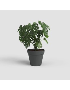 VASO CAPRI 80CM ANTRACITE -... 2