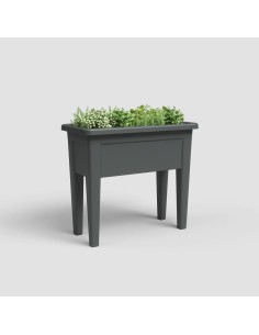 HORTA VENEZIA 80CM... 2