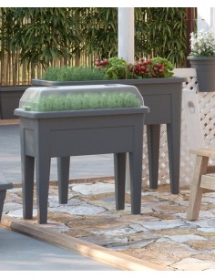 TAMPO HORTA VENEZIA 80CM -... 2