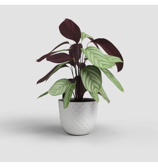 VASO HAVANA TROPICAL 20CM BRANCO...