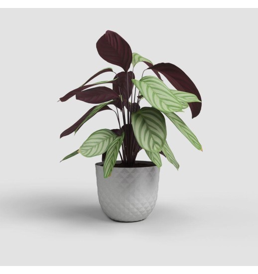 VASO HAVANA TROPICAL 20CM CINZA...