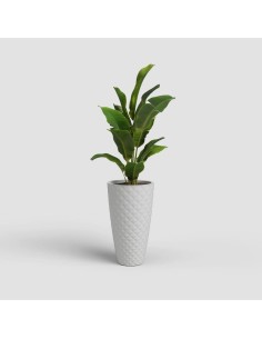 VASO HAVANA TROPICAL ALTO... 2