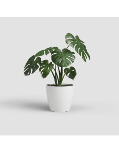 VASO SAN REMO MATE 30CM... 2