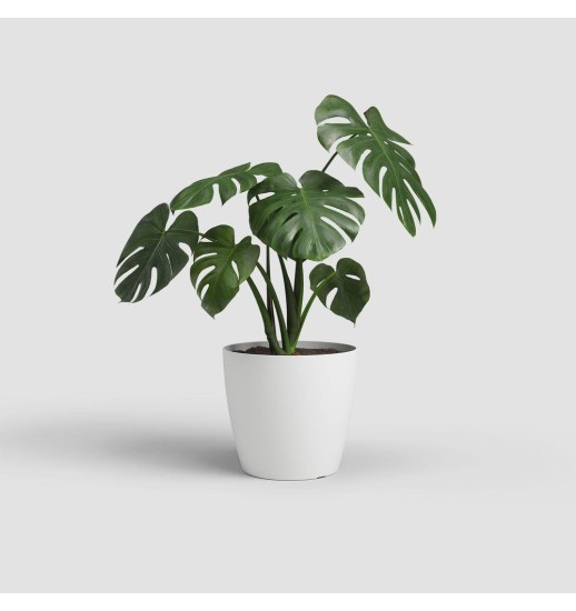 VASO SAN REMO MATE 30CM BRANCO - 40322