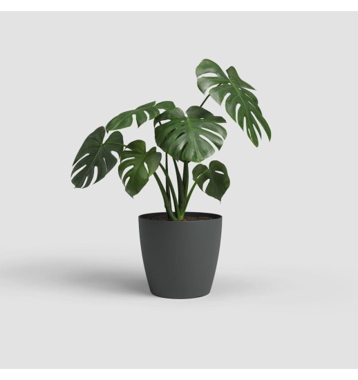 VASO SAN REMO MATE 30CM ANTRACITE -...