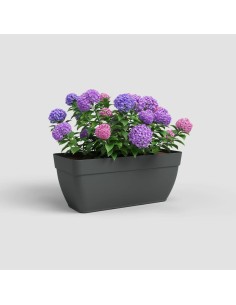 FLOREIRA CAPRI CAMPANA XL... 2