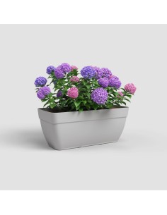 FLOREIRA CAPRI CAMPANA XL... 2