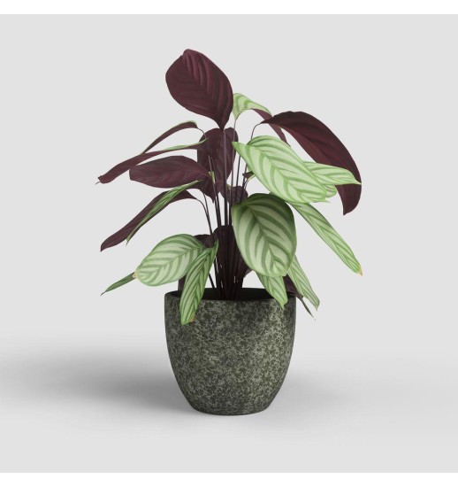 VASO HESTIA 17CM VERDE AZEITONA - 44924