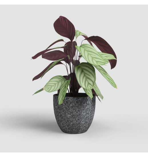 VASO HESTIA 28CM ANTRACITE - 45082