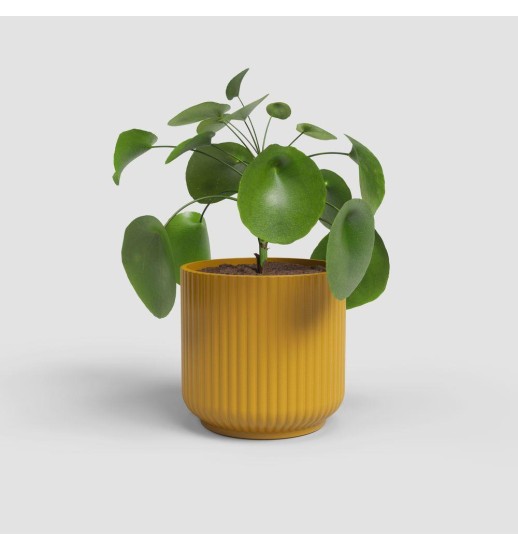 VASO LUNA 7CM AMARELO - 47789